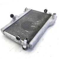 RADIATORE ACQUA LIQUIDO RAFFREDDAMENTO YAMAHA TENE
