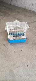 gabbia per uccelli 