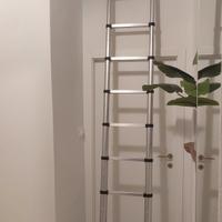 Scala telescopica in Alluminio Keppd H 320 cm