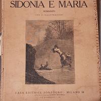 Libro antico  '800 Romanzo "Sidonia e Maria"