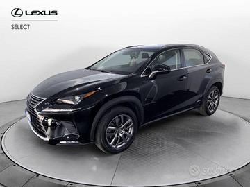 Lexus NX 300 h 2.5 Business 4wd cvt