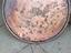 Immagine 6