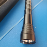 Torcia a led