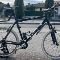 Mountain Bike Carver