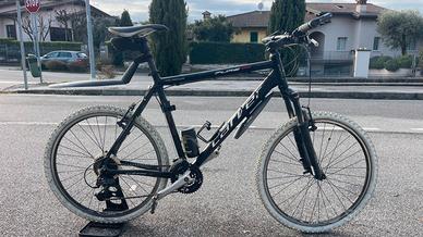 Mountain Bike Carver