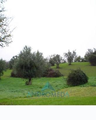 Terreno di 600 m² a Teano