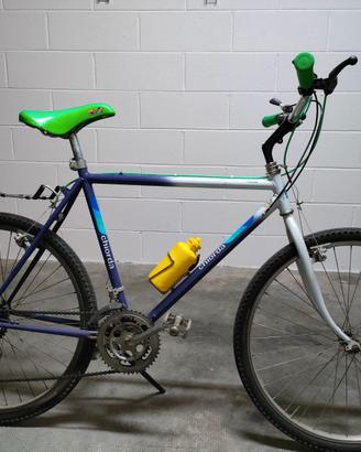 Bicicletta
