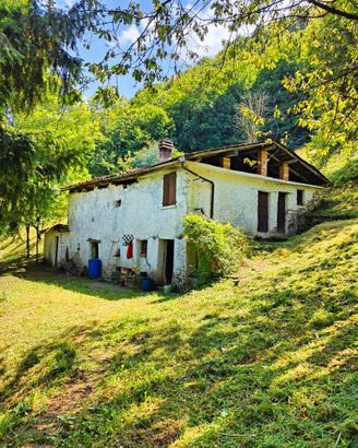 Terreno con Rustico e Capanno Caccia a Marcheno