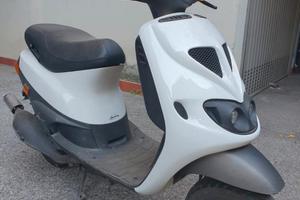 zip sp bianco 