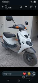 zip sp bianco 