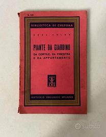 Piante da giardino - Rosa Adler