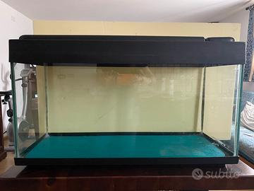 Acquario