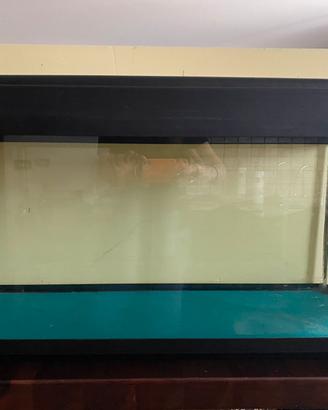 Acquario