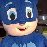 Mascotte di Gatto Boy - PJ Masks