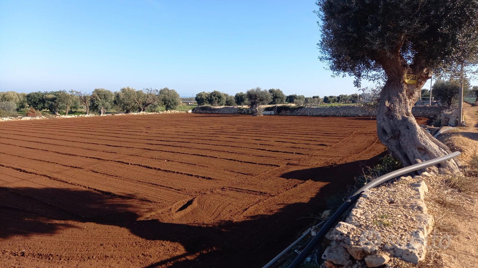 Terreno agricolo a 2 km da Polignano a mare - Vista 2