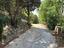 Immagine 12