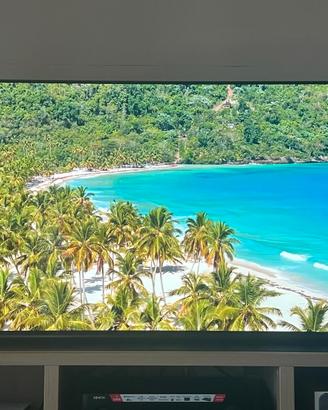 LG Oled CX 55" 4K 120 FPS