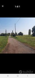 Terreno agricolo