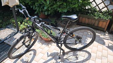 Bicicletta da ragazzo