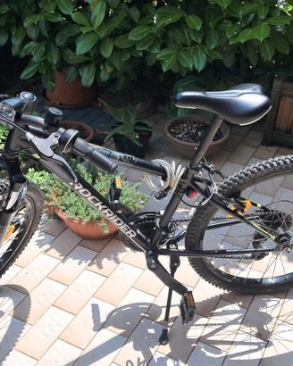 Bicicletta da ragazzo