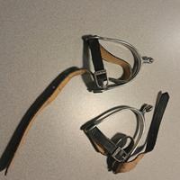 Speroni +cinturini Parlanti