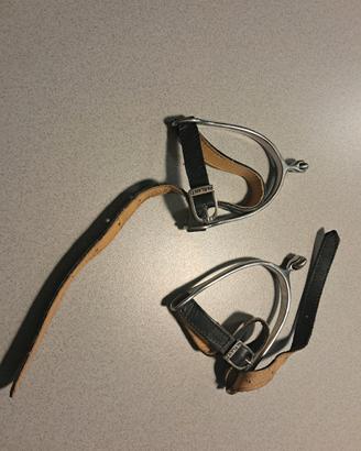 Speroni +cinturini Parlanti