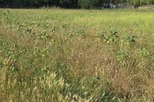Terreno di 2000 m² a Nocera Superiore