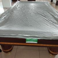 bigliardi professionali