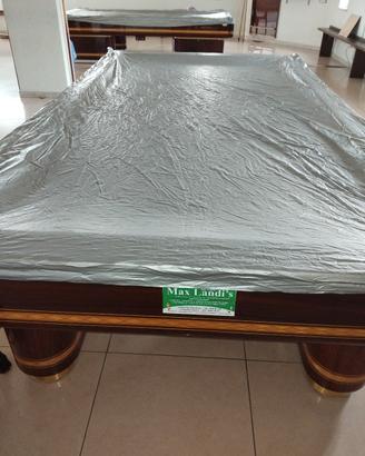 bigliardi professionali