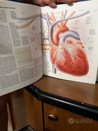 Enciclopedia Quid