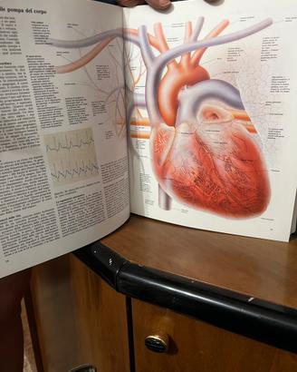 Enciclopedia Quid