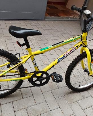 Bicicletta bambino tg 20