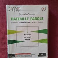 Libro italiano volume A