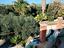Immagine 12