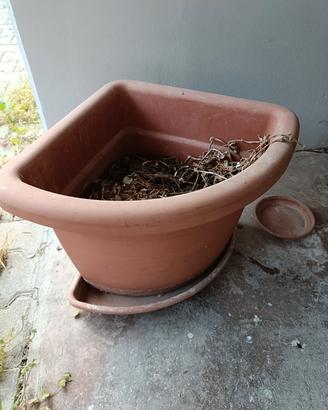 vaso giardino 