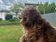 Immagine 6