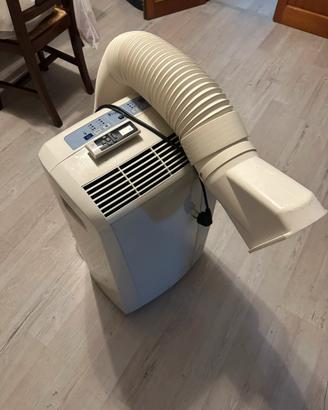 Pinguino delonghi