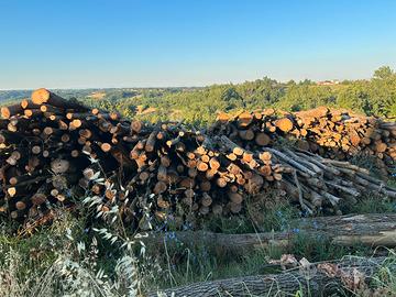 Legna da ardere