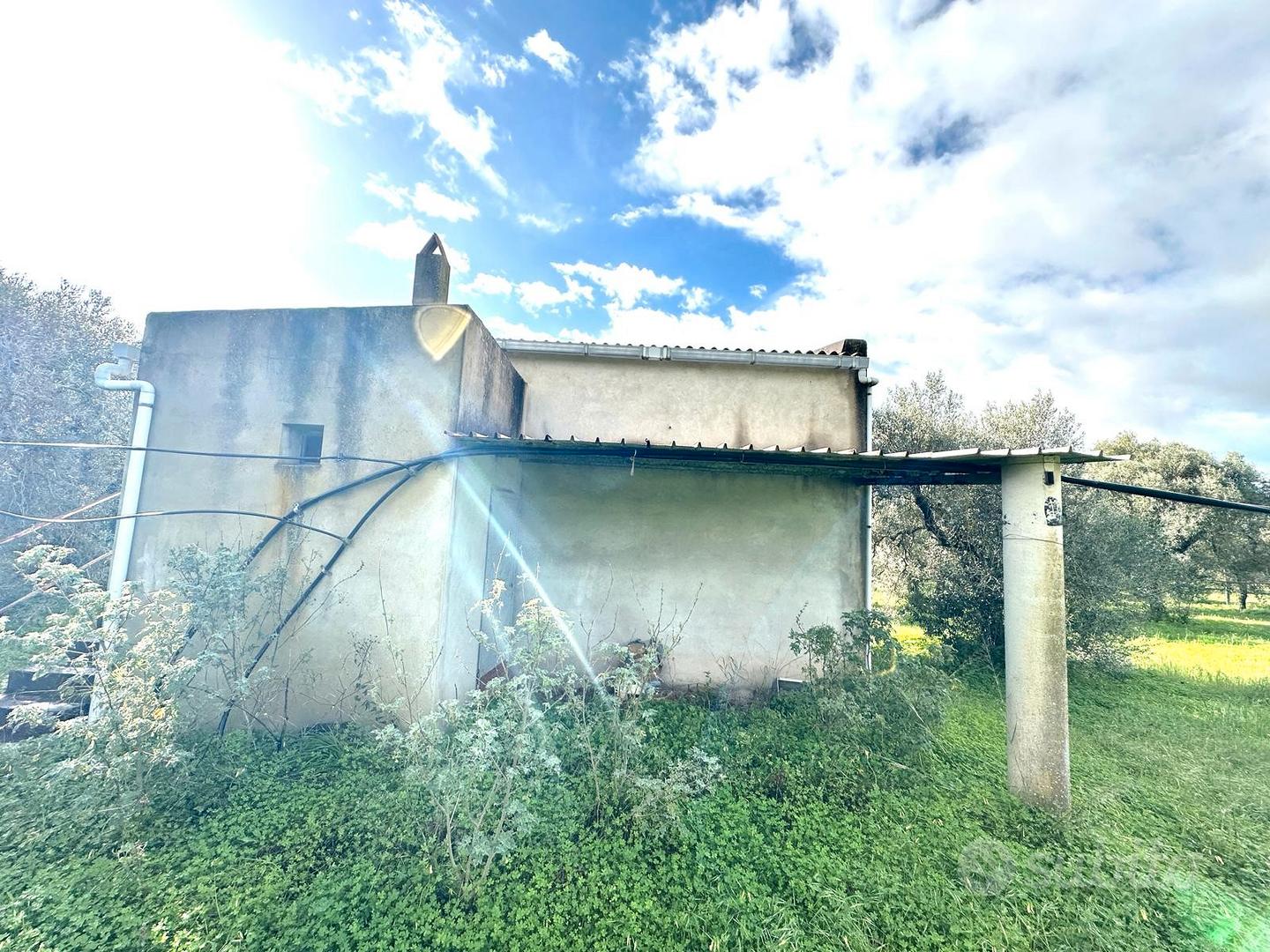 Ulivetto Fabricato e Pozzo Artesiano - Vista 5