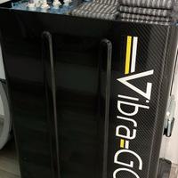 vibrazione meccanosonora