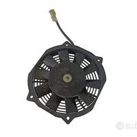 Elettroventola Benelli Zenzero 350 2012>