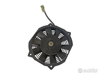 Elettroventola Benelli Zenzero 350 2012>