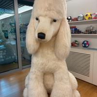 Enorme peluche barboncino