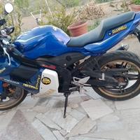 Yamaha TZR 50 - 2023
