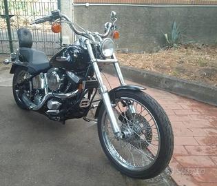 softail 15.000km sc.am.bio