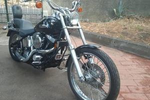 softail 15.000km sc.am.bio