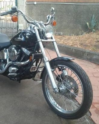 softail 15.000km sc.am.bio