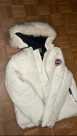 Canada goose bianco
