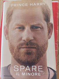 Spare-Il minore