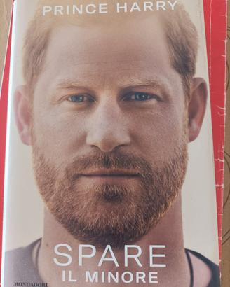 Spare-Il minore